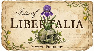 Iris of Libertalia